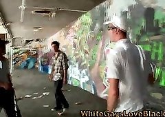 Black gangster sucks cock