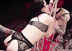 Submissive babes are flogged and fucked