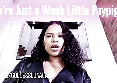 U're Just a Little Paypig