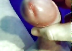 Close-UP Erect Cock Yanking