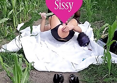 Sissy Second Cornfield