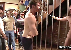 Naughty Neighbor Austin Craves The Big Hard Cocks Of Connor And His Guests At House Party Gangbang