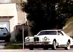 Molly Davis is a race car sponsor who awards her employees with sex.But will her fresh driver win the race after her predecessor died when her car got