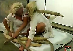 See tentacles nurses on now! - Nurse, Tentacle, Golden-Haired Porn