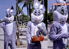 Brand fresh providing to the easter bunny pirocudo