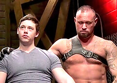 Harassment, torso, hd videos