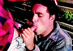 Island warmth - gig four