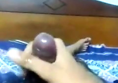 Japanese Wild Showcase on Web Cam