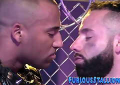 Buff leather dark-hued otter