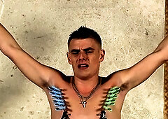 Twink, sadism & masochism, jerked off