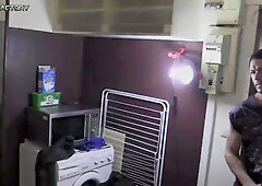 Mexican Mauricio Wild breeds Esteban Diaz and black Leo Donato