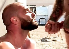 Hard-core, outdoors, bears