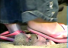 Trample Lodge : Organism