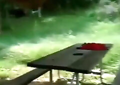 Exhibitionists' corner 42 8