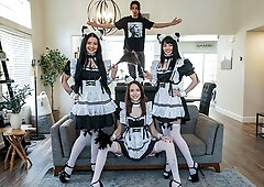 Cuties Brooke Johnson, Kitty Cam and Lily Thot love hard pound