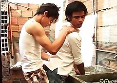 Latin amateurs rim n suck