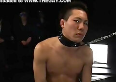 JAPANESE GAY SEX SLAVE CLUB (bdsm, candle, milk enema, anal, BJ, etc.)