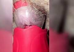 Getting my vagina willing for my neighbour to pound