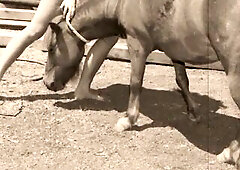 Vintage Taboo, Twat & Pooch