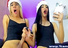 Ebony hair trap receives amazing oral pleasure from a horny transgender babe