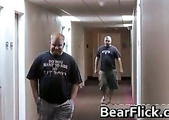 Ashby Red and Dakotah Porter bears clip