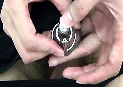 30 cm steel chain assem*****and insert urethra and bladder