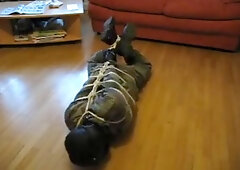 hogtied