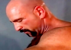 Gay Muscle Bears Prison Fuck