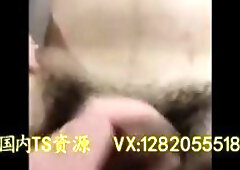 Sexy Chinese Trans Cock 973