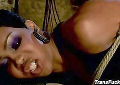 Sexy Jade And Honey FoXXX Bind Vince Ferelli For Trans Blowjob Bondage And Hotel Domination