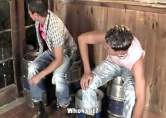 Drinking from the Source: Urinal Fun