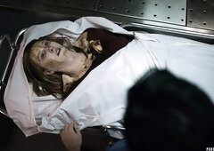 Hottie Ashley Lane's doggystyle xxx