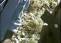 horny cowboys having fun