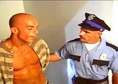 Dillon Press in Bear Cage