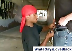 Gay interracial public blowjob