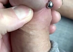 Fresh Prince Albert piercing!