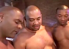 Horny male in exotic bears, bareback homo sex movie