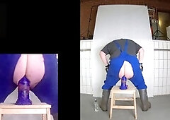 stablepup riding with jorhan xl