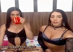 Webcam babes, shemale sex