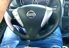 executive having sex in the car