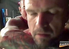 Bears asshole rammed raw