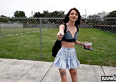 Shrooms Q In Blooms On The Bus