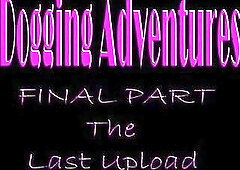 I park my car at a local picnic area, set up my camera
and wait to see what happens