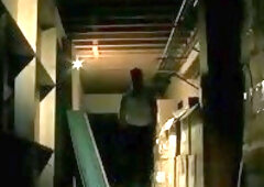 Hot Licking & Fucking