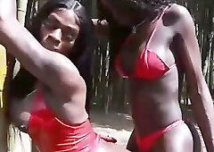 EBONY TS SHEMALE ON SHEMALE