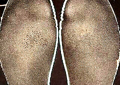 Spunk fountain on my allies worn nike shoes