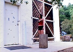 Adorable babe ass fucked outdoors