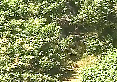 Classic porn with guys in jeans ready for some anal